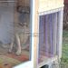 PVC hőfüggöny kutyaházra